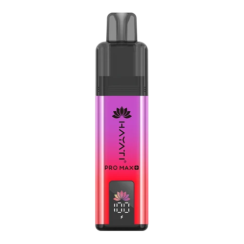 Hayati Pro Max 4000 Puffs Disposable Vape – Grape Berry flavour in Pakistan