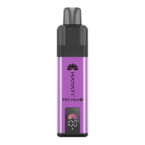 Hayati Pro Max 4000 Puffs Disposable Vape – Grape Gummy Bear flavour in Pakistan