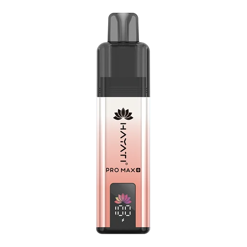 Hayati Pro Max 4000 Puffs Disposable Vape – Juicy Peach flavour in Pakistan