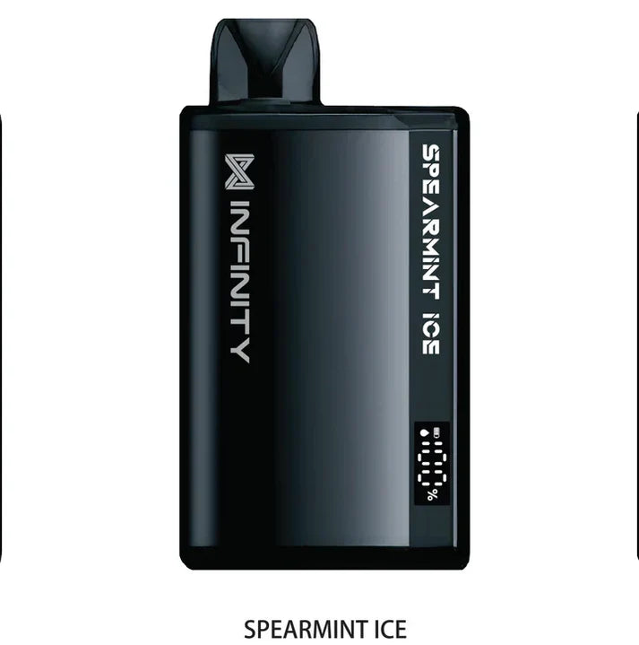 Infinity Spearmint Ice 8000 Puffs Disposable Vape - price in Pakistan, Smokes Hub