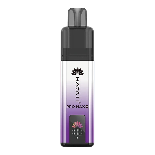 Hayati Pro Max 4000 Puffs Disposable Vape – Summer Dream flavour in Pakistan